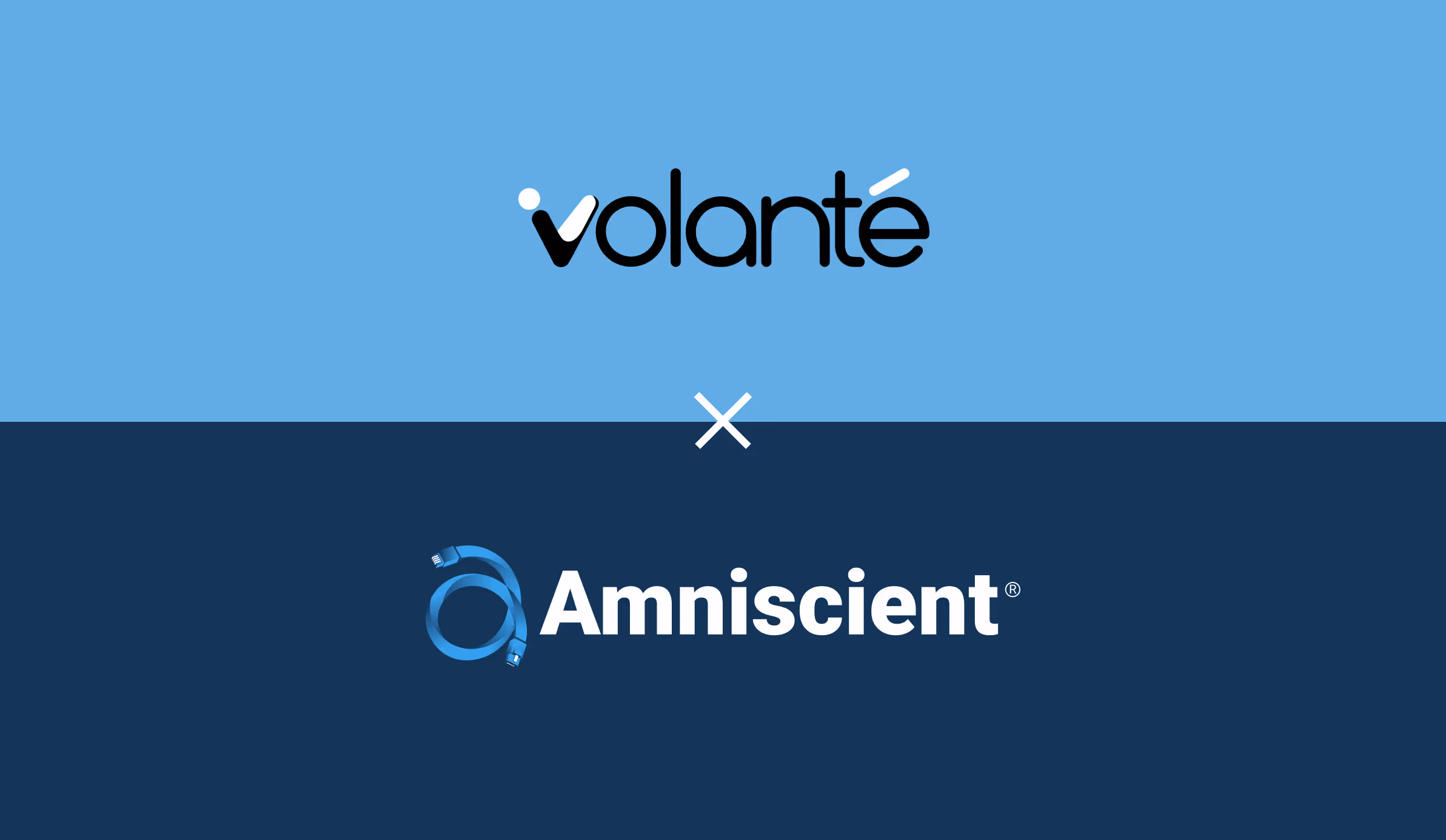 Volante x Amniscient