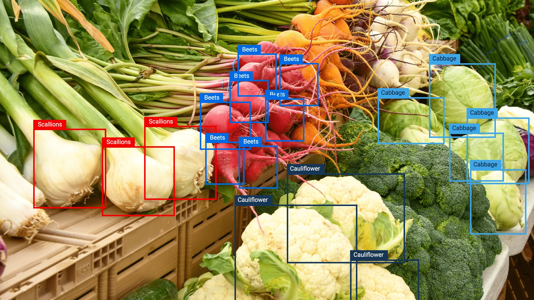 Market display of scallions, red and golden beets, cauliflower, broccoli, and green cabbage heads.